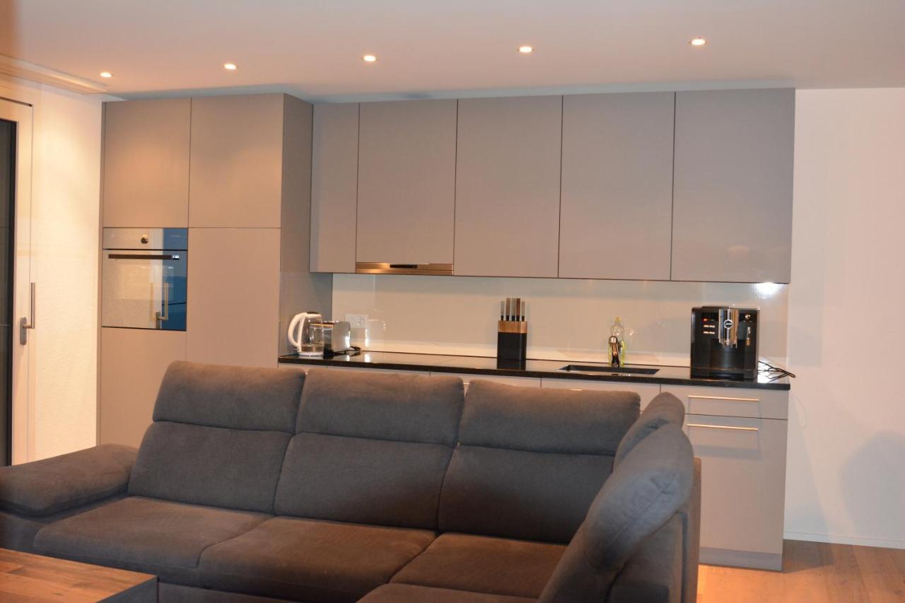 Brand New Apartment Surrounded By Nature Schattdorf ภายนอก รูปภาพ